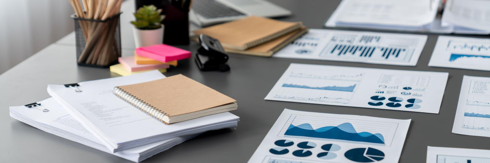 BilanzErfolg Dashboard Vorschau